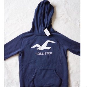 NWT Hollister Hoodie/Sweatshirt